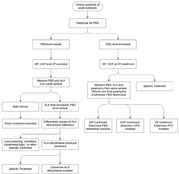 Porphyria Chart