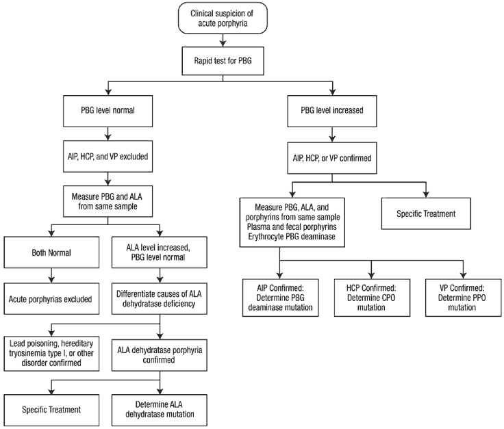 Porphyria Chart